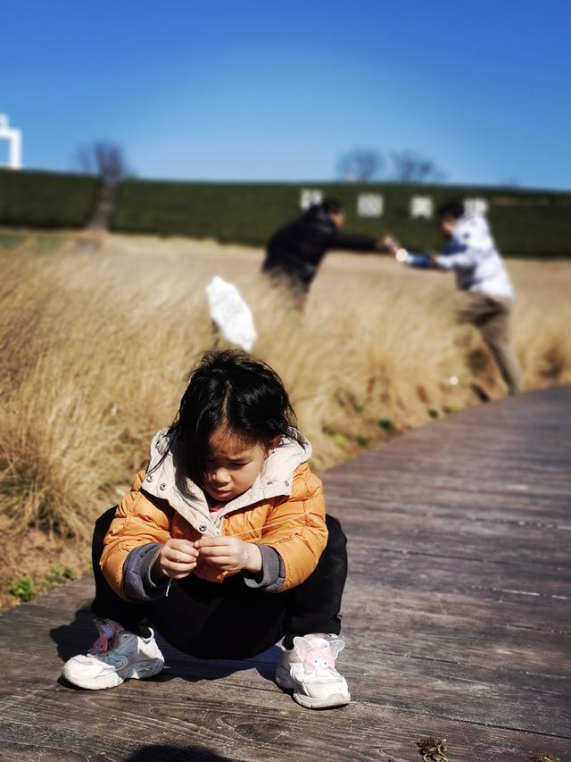 節前小遊～寧靜的花田美地
