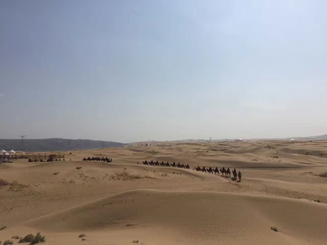 草原盟主成吉思汗究竟在何入土