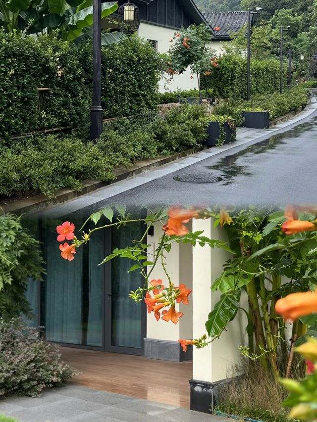 在南灣湖住的酒店刷爆朋友圈了