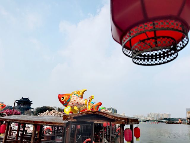 泰州的古今同框和新春燈展