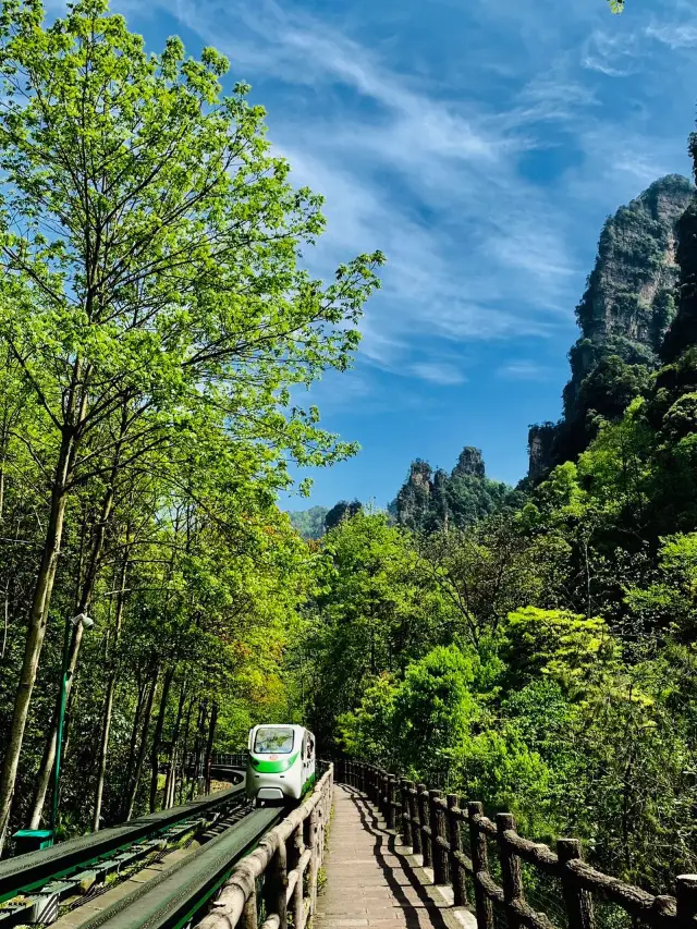 揭秘歷史長沙-張家界-天門山5日穿越古鎮之旅