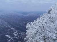 新年必看！漢中龍頭山，邂逅冰雪奇緣