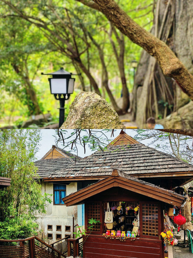 亞龍灣熱帶天堂森林公園超詳細遊玩攻略！快來抄作業