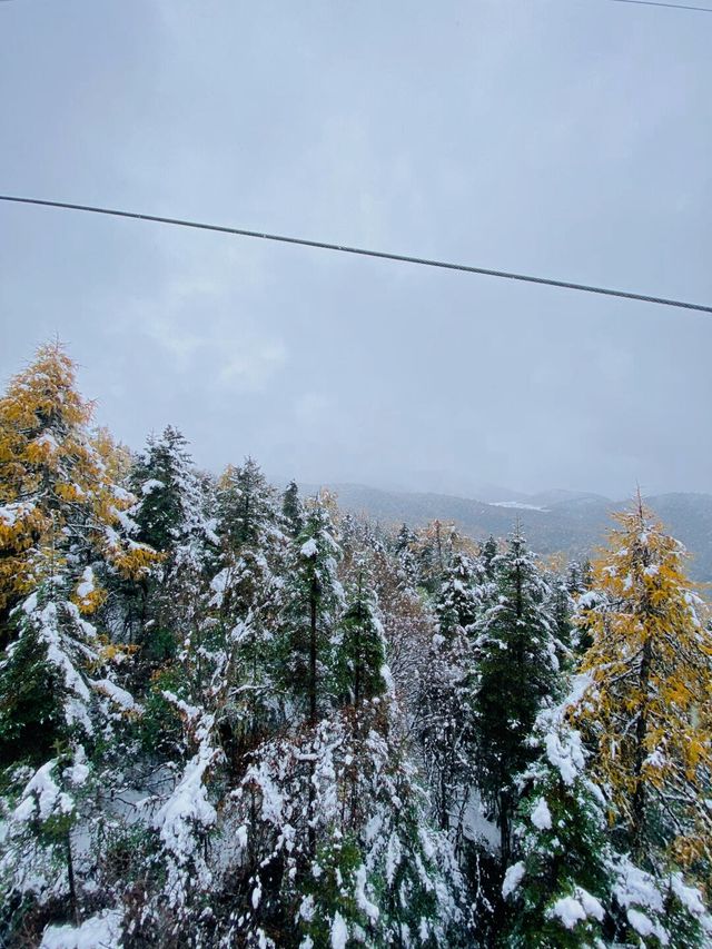 再也不去了，雪景拍照靚到爆！
