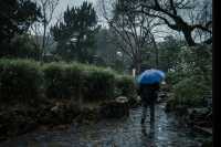 【上海青浦曲水園】雨中江南,絕美打卡地!