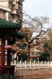 黃埔古港｜歷史航運港口與古村落