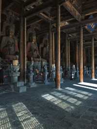 願每個去奉國寺的，都刷到這篇全攻略