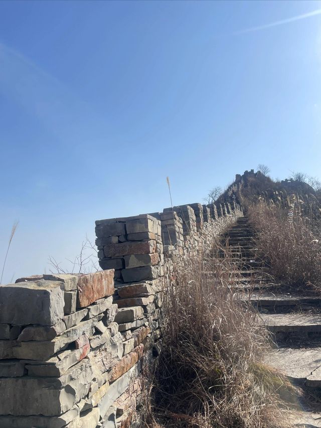 宜昌百里荒高山草原風景區