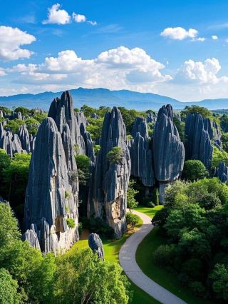 Wow! The Hidden Wonders of a Stone Forest Trip
