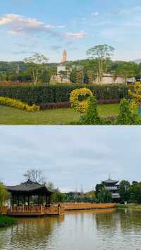 雲南開遠鳳凰濕地公園