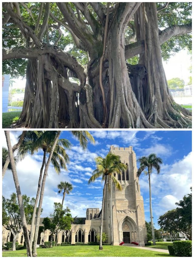 美國棕櫚灘旅遊詳細攻略  