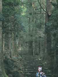 和歌山