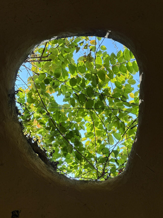 《深圳水土保持科技示範園之美》