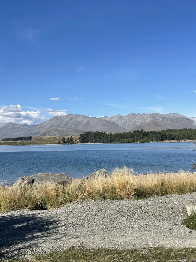 New Zealand 4-Day Tomb-Sweeping Festival Trip | Quick Glance at a Stunning Route