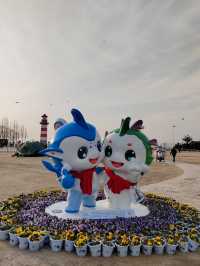 魚嘴濕地公園：邂逅江邊的自然秘境