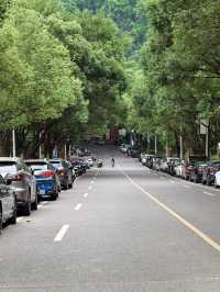 碼住增城嘅適合行山嘅森林公園