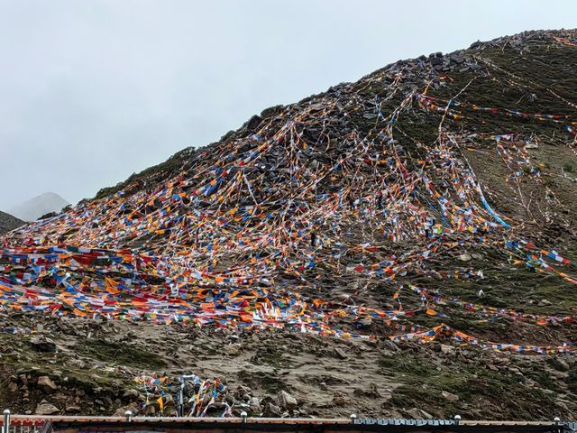 圓夢西藏之十——色季拉山口觀景
