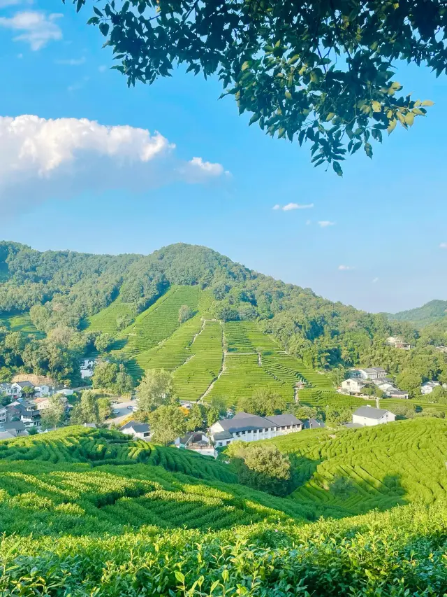 ทริปเที่ยวทะเลสาบซีหูแบบไม่ย้อนกลับใน 1 วัน