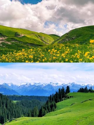 The following is a travel guide to Torquay, England: