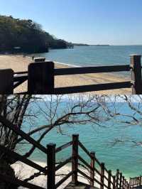 泗川探秘：解鎖韓國小眾海濱寶藏城市