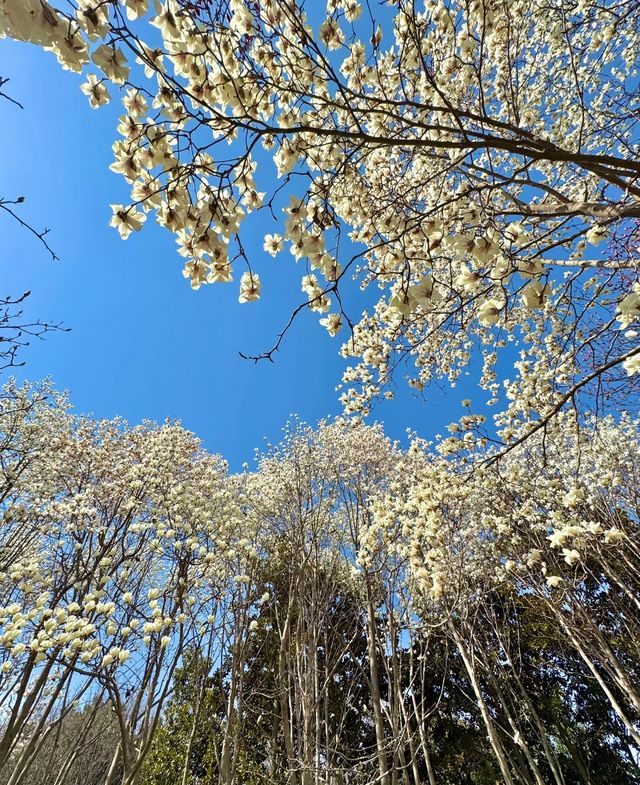 鄭州植物園