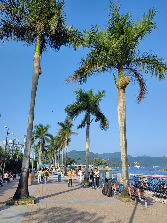 香港離島選哪個？西貢隱秘果凍海
