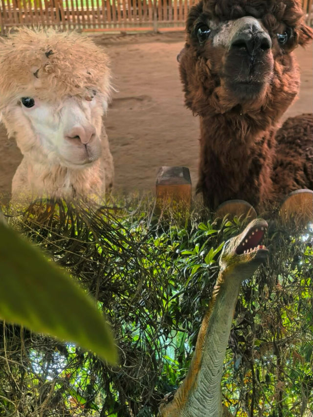 北京1小時直達！人少好玩超高性價比親子遊