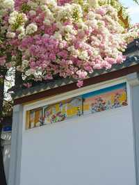 ​深圳園博園情侶暴甜攻略（附私藏機位）​