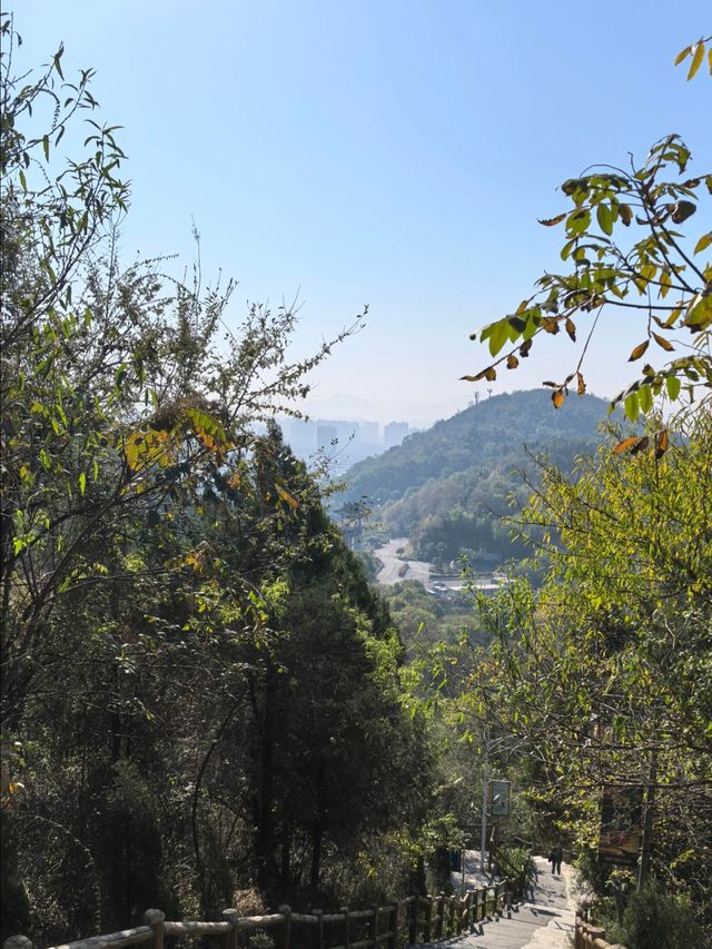 黃石東風山 ——被雲霧包圍的徒步天堂