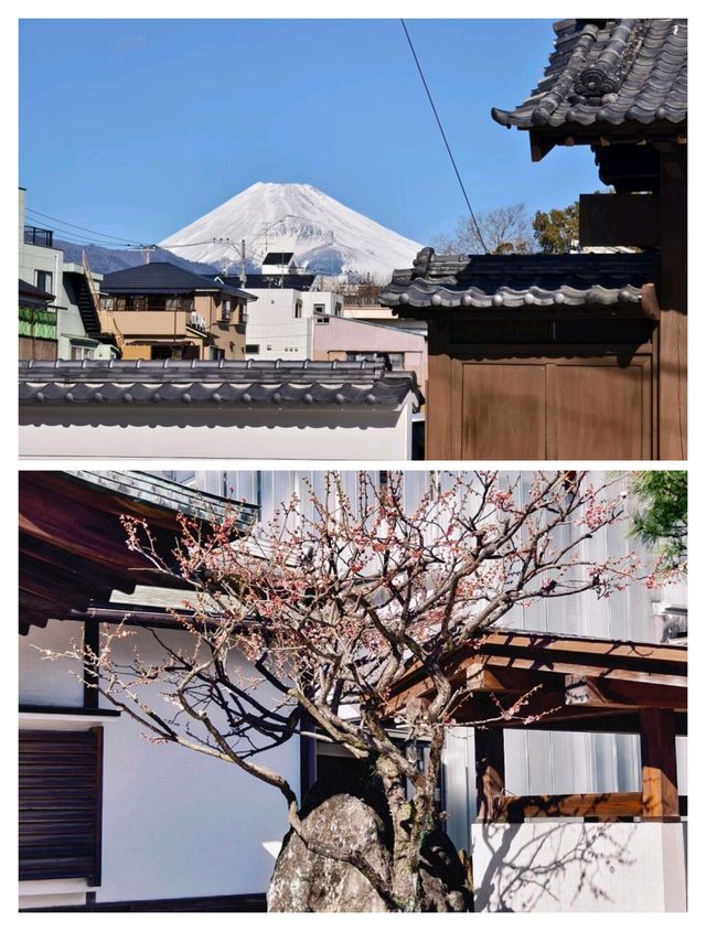 被低估的寶藏小城，三島市的治癒慢生活。