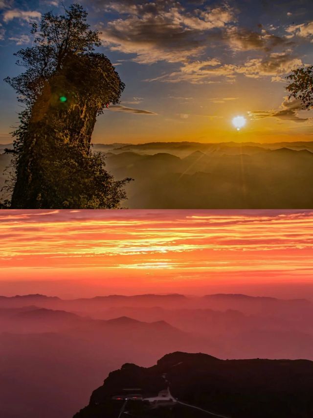 龍頭山雲端漫步｜被這處天然氧吧仙境種草了