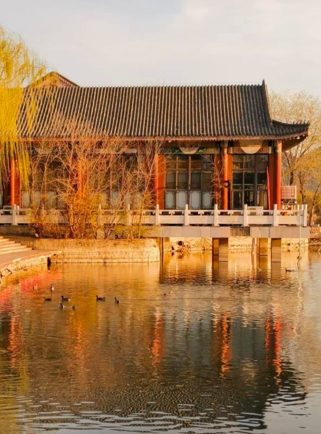 天津水上公園