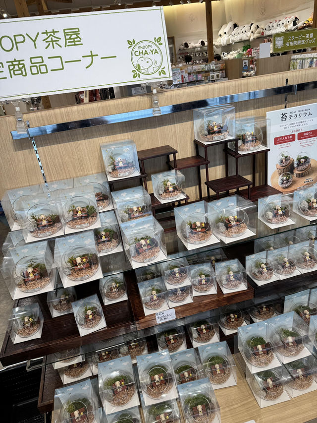 福岡 | 史努比茶屋的可愛時光🐶