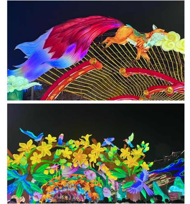 燈影流光，探秘侏羅紀