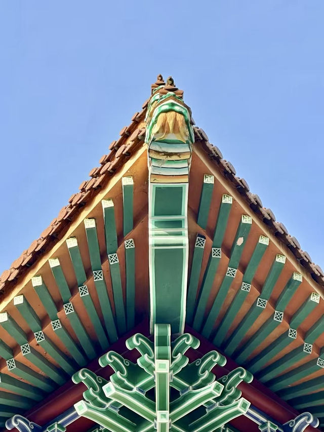 Sky-High Serenity, Sacred Stairways and Mountaintop Views in Hong Kong 