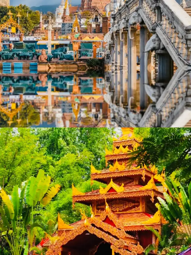 Kho báu của rừng mưa nhiệt đới Trung Quốc