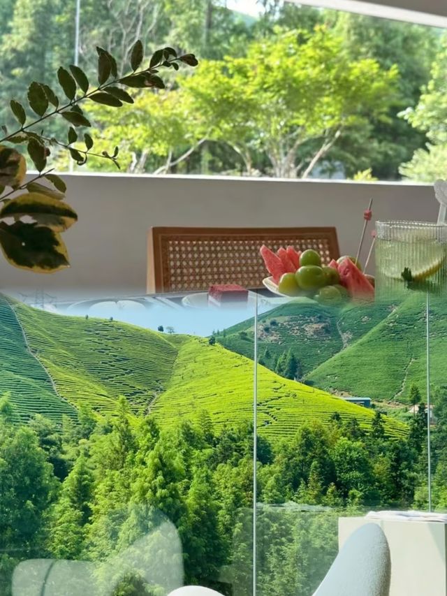 270°落地玻璃房，臥看竹海