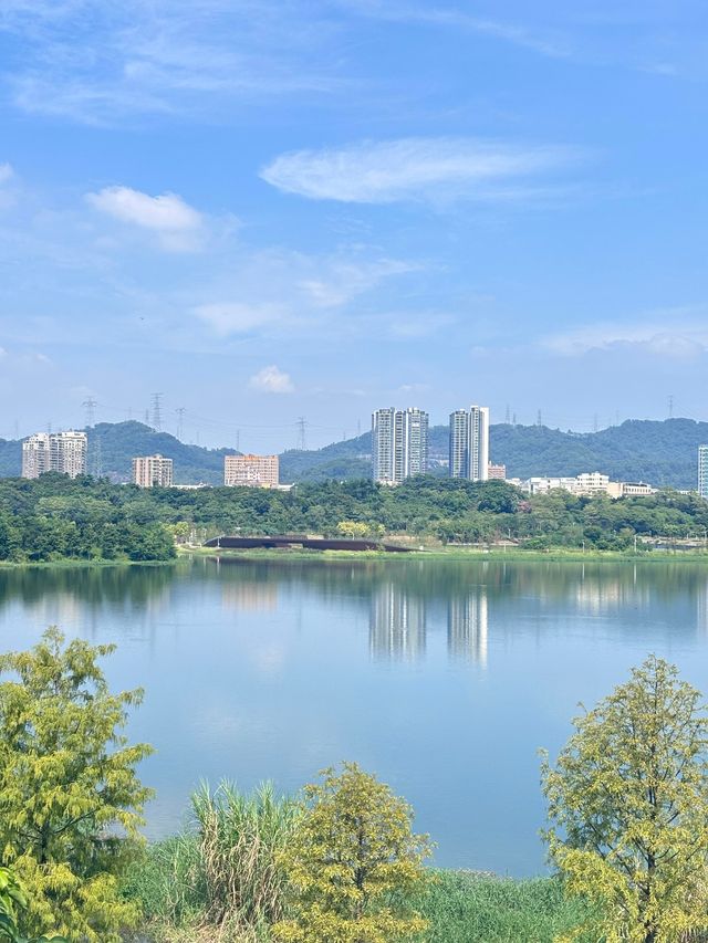 石岩湖濕地公園 | 環湖徒步騎行天花板