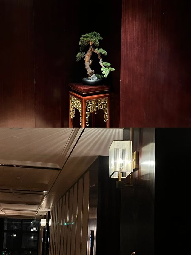 遵義入睡仙境被我找到了