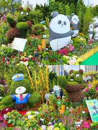 🌺香港維多利亞港花卉展2025：仿佛童話世界的美麗盛宴🌺
