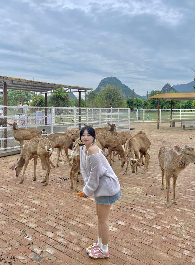 在桂林！現實版動物城！太治癒啦