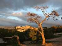 4月好去處｜Viewpoint Philopappos Hill