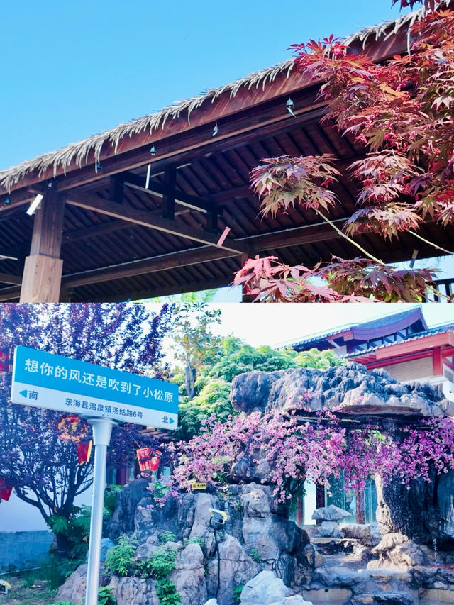 🔥 說走就走的東海「躺平游」有多爽？🔥