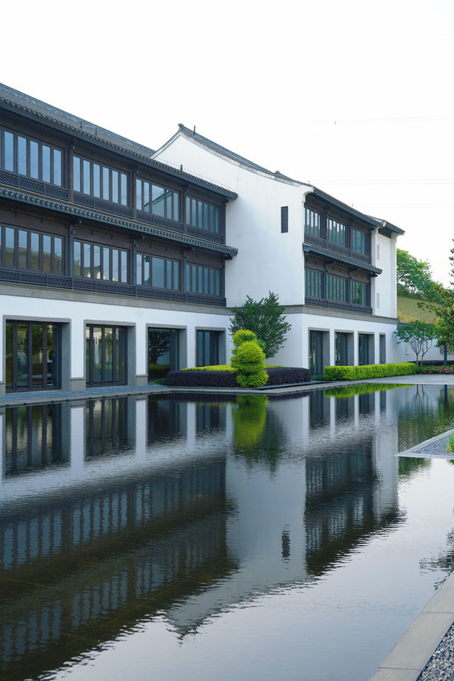 紹興寵物友善酒店天花板，私享山水秘境