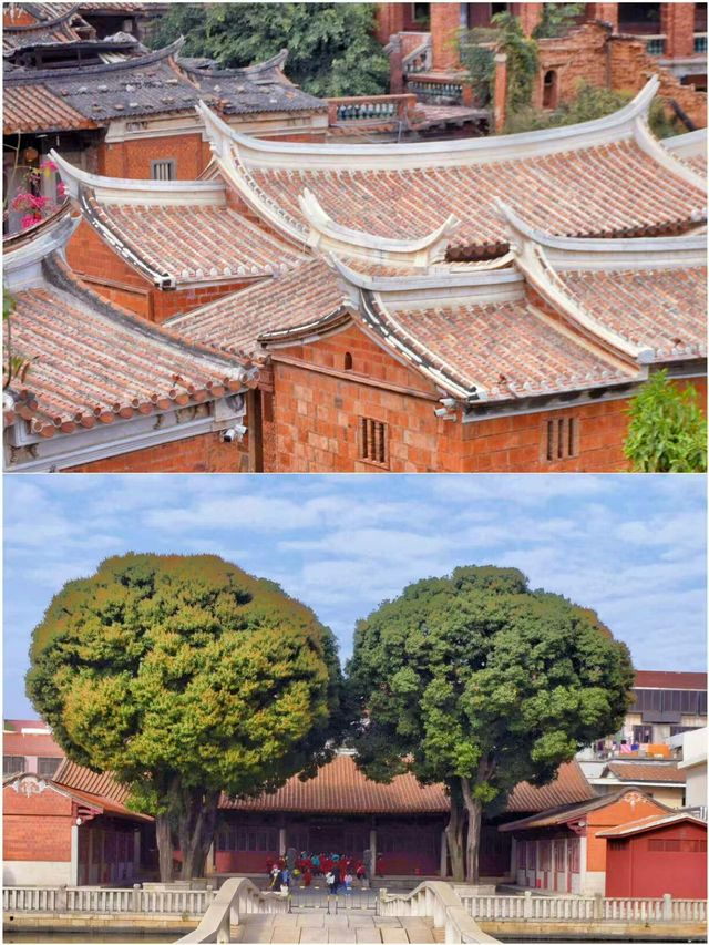啱啱喺泉州返嚟！能勸一個得一個