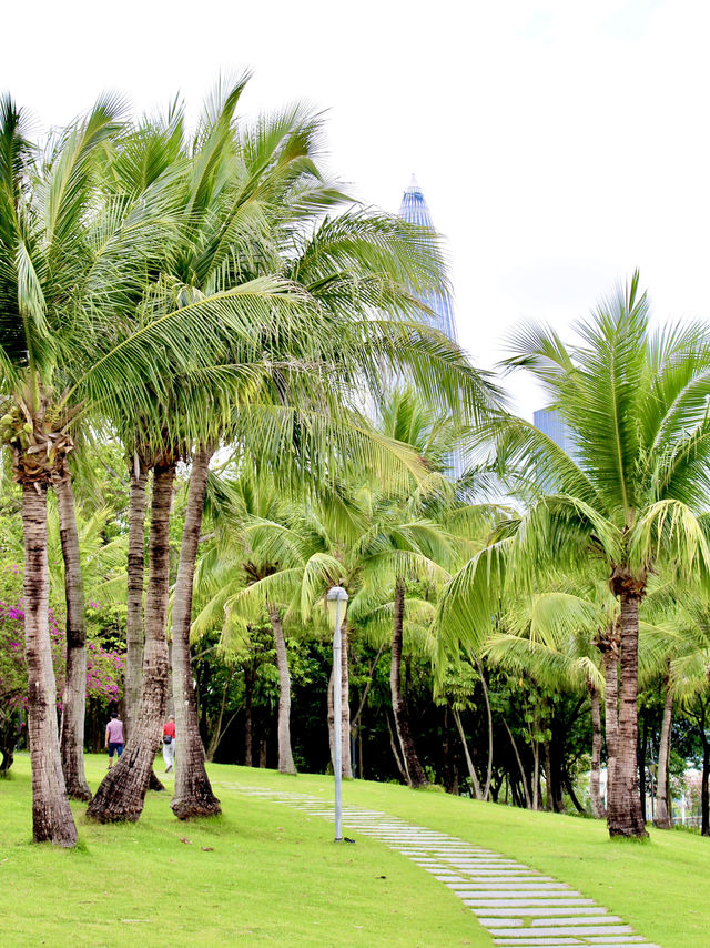 An ideal place for weekend in Shenzhen 