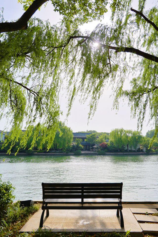 嘉興嘅環湖綠道，醫好我嘅近視呀
