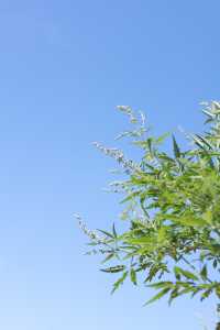 呢度係石家莊最難爬嘅山啦