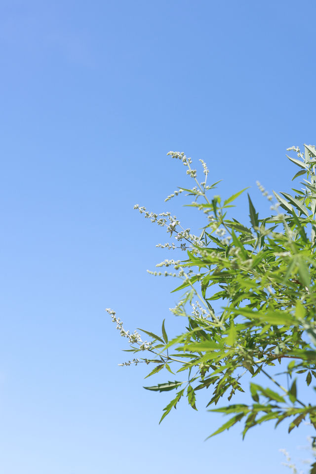 呢度係石家莊最難爬嘅山啦