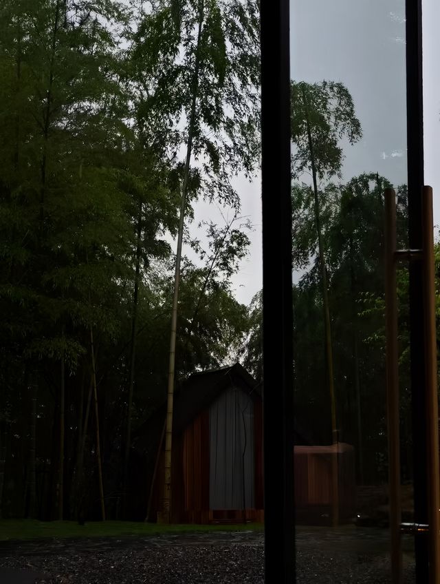 喺安吉！回歸自然又嚟山度續命啦